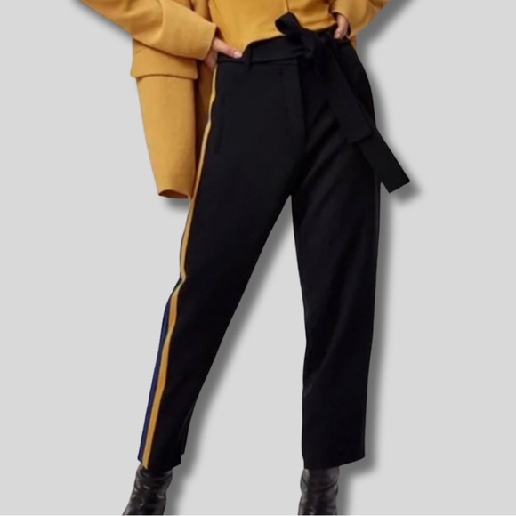 Aritzia Wilfred JALLADE Tie-Front Relaxed Fit Striped Pants Sz. 4 - Picture 2 of 9